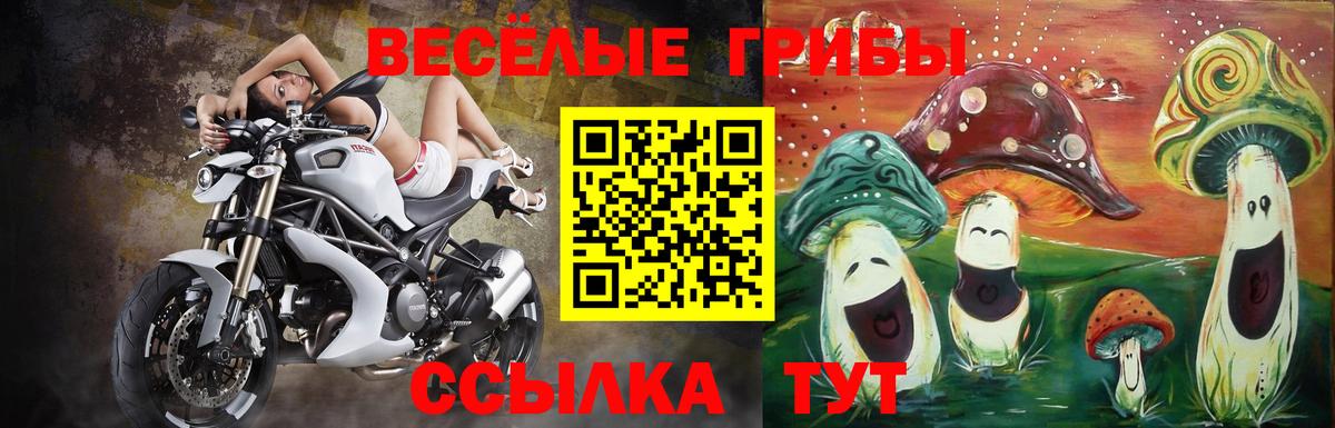 Псилоцибиновые грибы Cubensis  Псилоцибиновые грибы мицелий  Вход с VPN  Новоуральск 